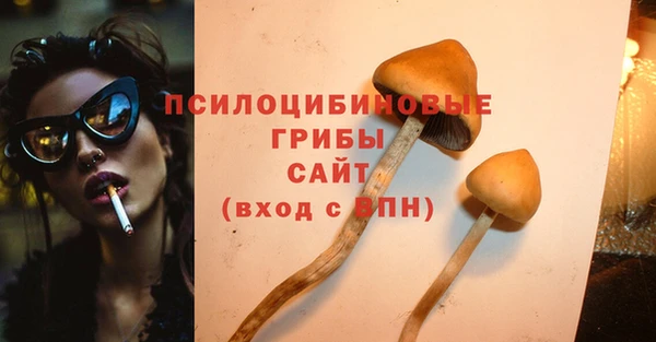 сатива Саяногорск