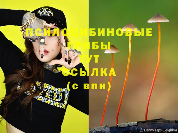 а пвп мука Осташков
