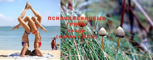 метадон Россошь