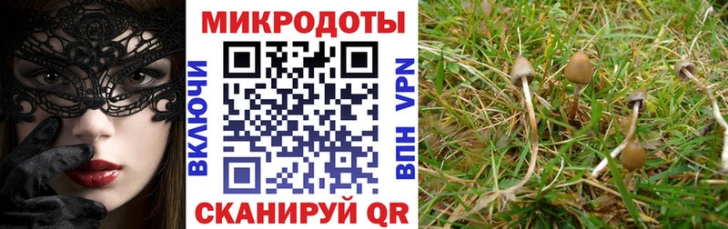 ОМГ ОМГ как зайти  Кореновск  Галлюциногенные грибы прущие грибы  как найти наркотики 
